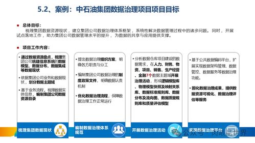XX集團數據治理體系建設方案 構建高效可靠的數據處理服務